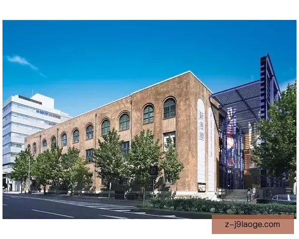 蒋光太：中超防守悍将的坚韧拼搏与不懈追求
