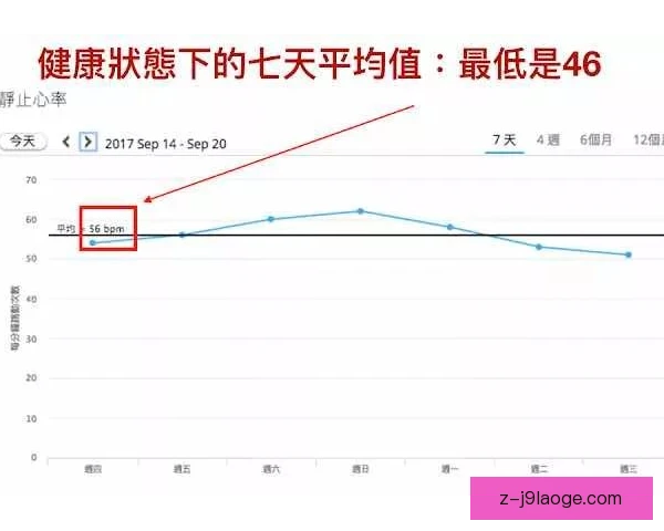 二队阵容受旅途疲劳影响，轮换深度决定比赛走向